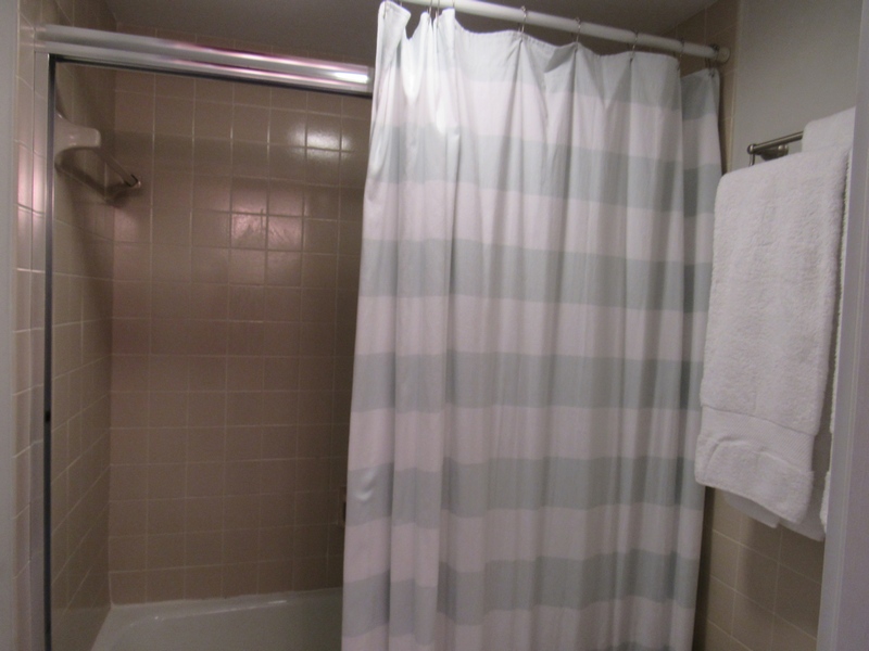 Master Shower